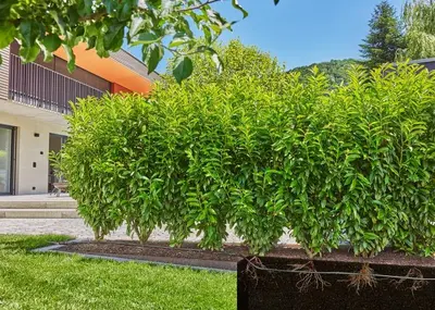 Gardena Druppelbuis voor Struiken of Heggen - afbeelding 4