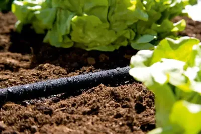Gardena druppelslang 7,5 meter - afbeelding 3