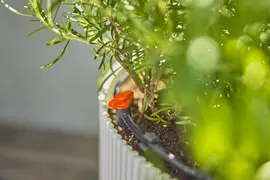 Gardena Micro-Drip-Bewatering Balkon Set (15 planten)​ - afbeelding 6