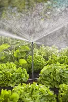 Gardena Micro-Drip-Bewatering moestuin/​bloembed Set (60 m²)​ - afbeelding 6