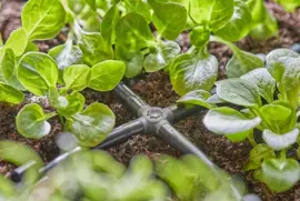 Gardena Micro Drip Systeem Kruisstuk 4,6 mm (3/16") - afbeelding 3