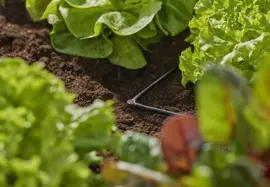 Gardena Micro Drip Systeem L-stuk 4,6 mm (3/16") - afbeelding 3