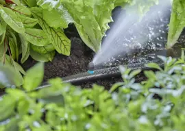 Gardena Micro Drip Systeem Micro Strook Sprinkler Uiteinde - afbeelding 2