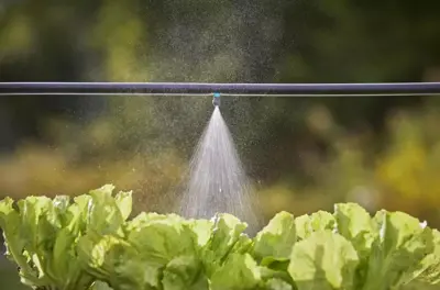 Gardena Micro Drip Systeem Nevelstraal Sproeikop - afbeelding 3