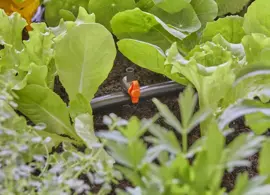 Gardena Micro Drip Systeem Reguleerventiel - afbeelding 4
