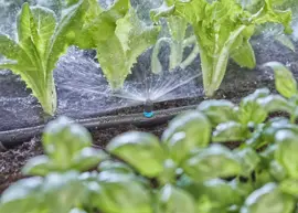 Gardena Micro Drip Systeem Sproeier 180° - afbeelding 3