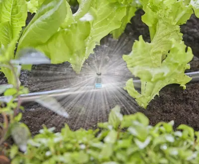 Gardena Micro Drip Systeem Sproeier 360° - afbeelding 3