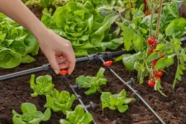 Gardena Micro Drip Systeem T-stuk 1/2” – 3/16" - afbeelding 3