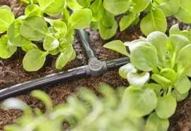 Gardena Micro Drip Systeem T-stuk 4,6 mm (3/16") - afbeelding 5