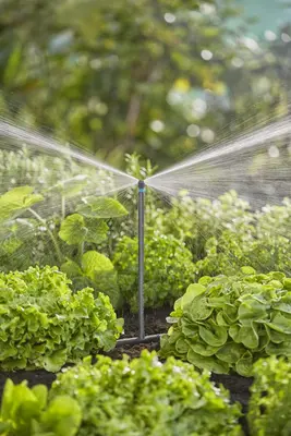 Gardena Micro Drip Systeem Verlengbuis voor Sproeiers - afbeelding 3