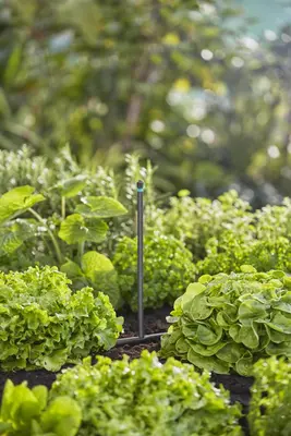 Gardena Micro Drip Systeem Verlengbuis voor Sproeiers - afbeelding 4