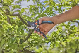 Gardena PremiumCut Pro Flex Snoeischaar – Bypass – 24 mm snoeidiameter - afbeelding 2