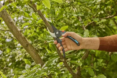 Gardena PremiumCut Pro Snoeischaar – Voor krachtig en precies snoeien van vers hout - afbeelding 4