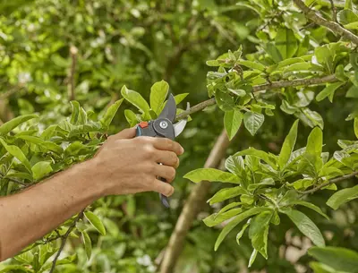 Gardena PremiumCut Pro Snoeischaar – Voor krachtig en precies snoeien van vers hout - afbeelding 3