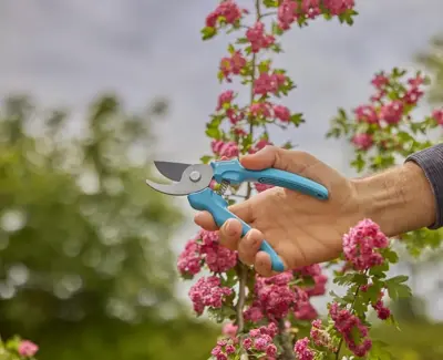 Gardena Snoeischaar EasyCut - afbeelding 4