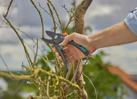  Gardena Snoeischaar PremiumCut Pro – Voor Droog Hout – Ø 24 mm - afbeelding 5