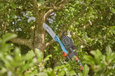 Gardena StarCut Pro L – Telescopische Takkenschaar voor Hoog Snoeiwerk - afbeelding 19