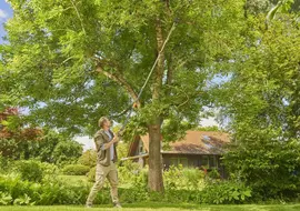 Gardena StarCut Pro L – Telescopische Takkenschaar voor Hoog Snoeiwerk - afbeelding 16