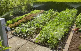 Gardena Start set bloembed kopen?