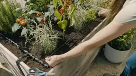 Gardena Startset voor verhoogde bloembedden en moestuinen (35 planten) - afbeelding 7