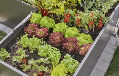 Gardena Startset voor verhoogde bloembedden en moestuinen (35 planten) - afbeelding 9