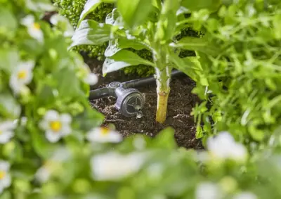Gardena Startset voor verhoogde bloembedden en moestuinen (35 planten) - afbeelding 10