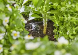 Gardena Startset voor verhoogde bloembedden en moestuinen (35 planten) - afbeelding 10