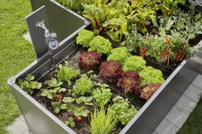 Gardena Startset voor verhoogde bloembedden en moestuinen (35 planten) - afbeelding 3
