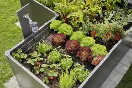 Gardena Startset voor verhoogde bloembedden en moestuinen (35 planten) - afbeelding 3