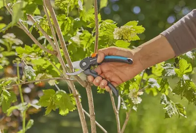 Gardena Supercut snoeischaar voor vers hout - afbeelding 7