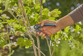 Gardena Supercut snoeischaar voor vers hout - afbeelding 7