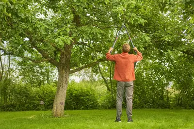 Gardena Takkenschaar TeleCut Pro L – 90 cm | Telescopische krachtpatser voor jong hout - afbeelding 5