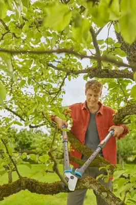 Gardena Takkenschaar TeleCut Pro L – 90 cm | Telescopische krachtpatser voor jong hout - afbeelding 4