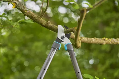 Gardena Takkenschaar TeleCut Pro S – Telescopisch & krachtig snoeien tot Ø 50 mm - afbeelding 6