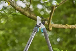 Gardena Takkenschaar TeleCut Pro S – Telescopisch & krachtig snoeien tot Ø 50 mm - afbeelding 6