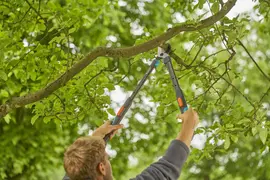 Gardena Takkenschaar TeleCut Pro S – Telescopisch & krachtig snoeien tot Ø 50 mm - afbeelding 7
