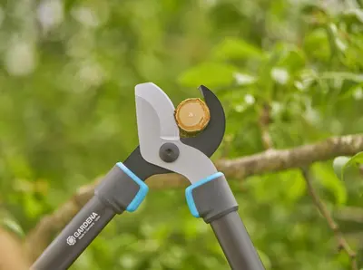 Gardena Takkenschaar TeleCut Pro S – Telescopisch & krachtig snoeien tot Ø 50 mm - afbeelding 4