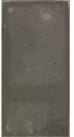 Gardenlux Betontegel grijs 15x30x4,5 cm - afbeelding 1