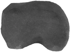 Gardenlux Flagstone staptegel Black Pearl ±0,2m² cm - afbeelding 1