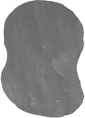 Gardenlux Flagstone staptegel Kwartsiet Grey ±0,2m² cm - afbeelding 1