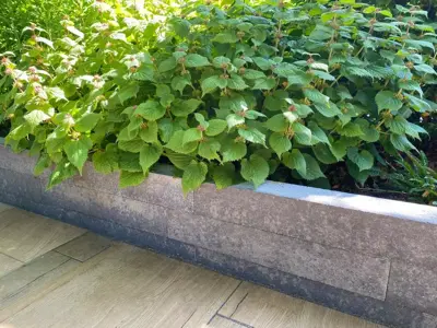 Gardenlux Forto Walling Grijs/Zwart 60x10x10 cm - afbeelding 2