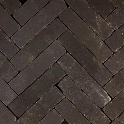 Gardenlux Gebakken Dikformaat Hollandse Streken Getrommeld Betuwe 6,5x20x6 cm - afbeelding 1