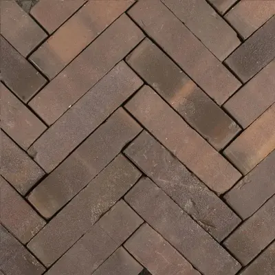 Gardenlux Gebakken Dikformaat Hollandse Streken Getrommeld Peel 6,5x20x6 cm - afbeelding 1