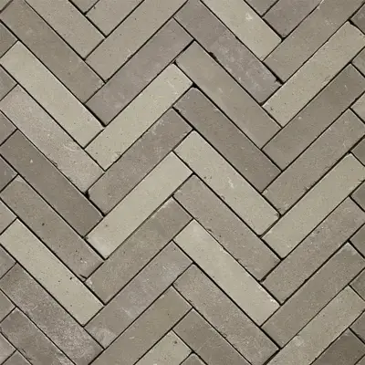 Gardenlux Gebakken Dikformaat Hollandse Streken Getrommeld Twents 6,5x20x6 cm - afbeelding 1
