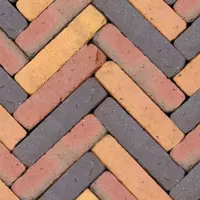 Gardenlux Gebakken Waalformaat Art Bricks Getrommeld Ruijsdael 5x20x6 cm - afbeelding 1