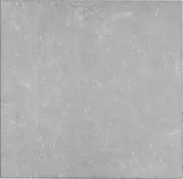 Gardenlux Gecoate Tegels Betonique  Stone Light  60x60x4 cm - afbeelding 1