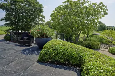 Gardenlux Granulati Geïmpregneerd Grigio Scuro 60x60x6 cm - afbeelding 3
