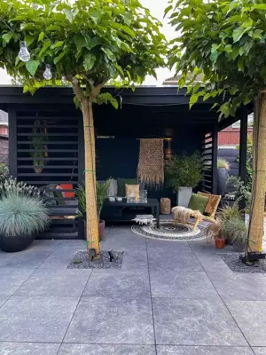 Gardenlux Keramische Tegels Cera3Line Lux & Dutch Alpera Marble 70x70x3,2 cm - afbeelding 2