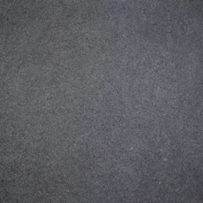 Gardenlux Keramische Tegels Cera5Line Lux & Dutch Black Basaltina  60x60x5 cm - afbeelding 1