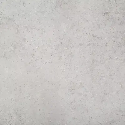 Gardenlux Keramische Tegels Ceramica Terrazza Gigant Silver Grey 59,5x59,5x2 cm - afbeelding 1